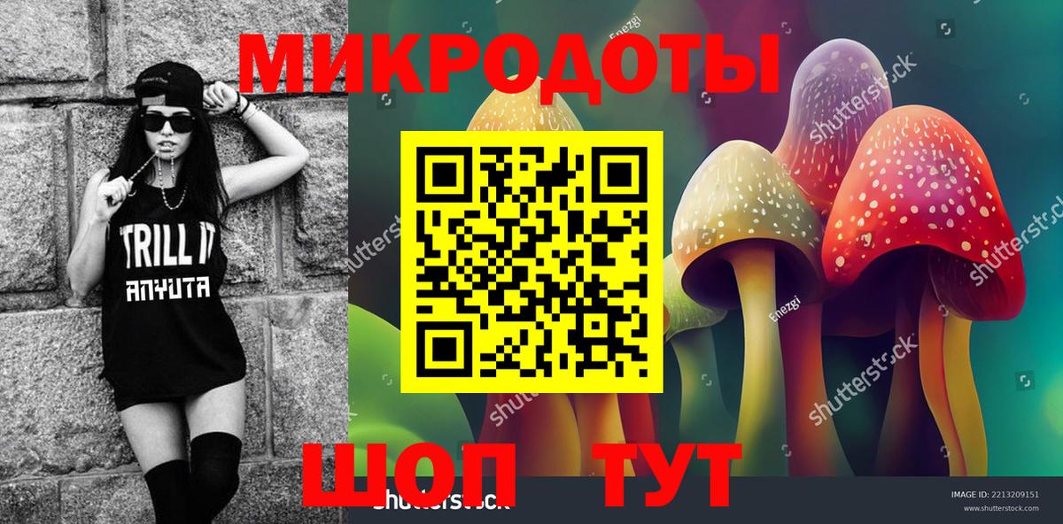 Елабуга  Псилоцибиновые грибы MAGIC MUSHROOMS  Псилоцибиновые грибы Cubensis  Вход с VPN 